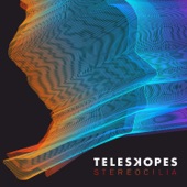 Teleskopes - Rich Kid Blues