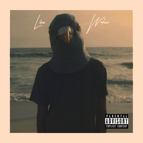 Cover artwork for Like Water