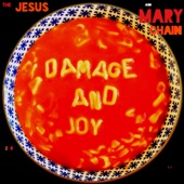 Damage and Joy artwork