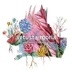 Vetusta Morla - 23 de Junio