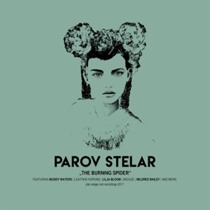 Parov Stelar - Everything of My Heart - Line Dance Choreograf/in