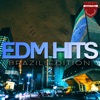 EDM Hits Brazil Edition, Vol. 2