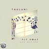 Fly Away (feat. Bond Jobe) [Main Vocal Mix] - Single