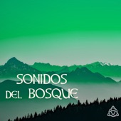 Sonidos del Bosque - Sonidos Naturales Relax para Dormir Bien y Ejercicios de Relajacion artwork