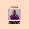 Ginger - Sona lyrics