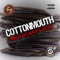 Background Check (feat. K-Loc) - Cottonmouth lyrics