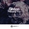 Pleasing You - Gibbon lyrics