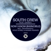 Now I Know (Invincible) [Doug Gomez Merecumbe Descarga Dub] artwork
