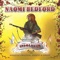 We Are Not the People (feat. Justin Currie) - Naomi Bedford lyrics