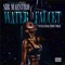 Water Faucet (feat. Young Ceno & Timmy Token) - Sir Maestro lyrics