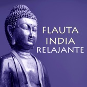 Flauta India Relajante - Canciones de Flauta Nativa con Sonidos de Fundo de la Naturaleza artwork