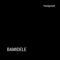 Bamidele - Youngzcool lyrics