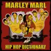 Hip Hop Dictionary album lyrics, reviews, download