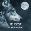 111 Best Sleep Music – Nature Sounds to Fall Asleep, Healing Lullaby, Find Inner Peace, Relax the Mind, Chinese Music Treatment for Better Sleep - Deep Sleep Sanctuary