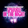 Stream & download Sparkle in the Night (feat. Vicky) - Single