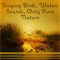 Birds After the Shower - Calm Nature Oasis lyrics