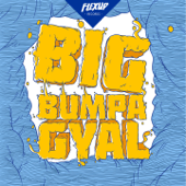 Big Bumpa Gyal - Johnny Roxx