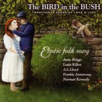 Various Artists - The Bird in the Bush: Traditional Songs of Love and Lust artwork