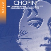 Chopin: Metamorphosis (Arr. for Double Bass, Drums and Piano) artwork