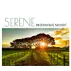Serene Morning Music: Zen Music for Stress Relief, Positive Energy, Mindfulness & Eliminate Exhaustion album lyrics, reviews, download