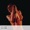Iggy Pop & The Stooges - Shake Appeal