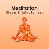 Sleep to Ambient Meditation artwork
