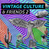 Vintage Culture & Friends 2 - EP artwork