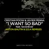 I Want So Bad (Anton Ishutin & S.D.A Remixes) (feat. SevenEver) - Single album lyrics, reviews, download