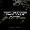 Stream & download I Want So Bad (Anton Ishutin & S.D.A Remixes) (feat. SevenEver) - Single