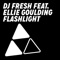 Flashlight (feat. Ellie Goulding) - DJ Fresh lyrics