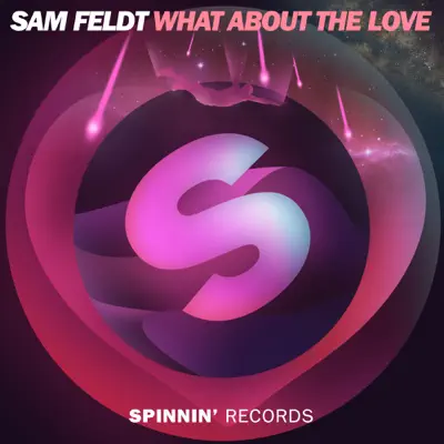 What About the Love - Single - Sam Feldt