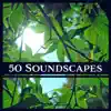 50 Soundscapes: Zen New Age & Nature Sounds for Meditation, Yoga, Spa & Deep Relaxation, Healing Therapy Music album lyrics, reviews, download