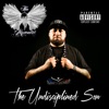 The Undisciplined Son - EP artwork