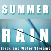 Summer Rain, Birds and Water Streams - Mindful Meditation