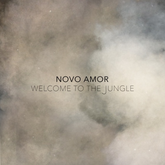 Cover artwork for Welcome to the Jungle