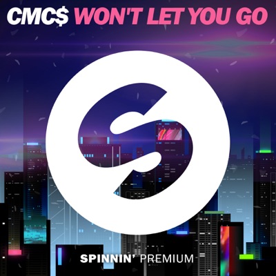 Won't Let You Go (Extended Mix)