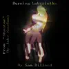 Burning Labyrinths (From "Shantae") - Single album lyrics, reviews, download
