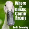 Where the Ducks Come From song lyrics
