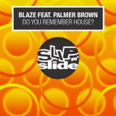 Do You Remember House? (feat. Palmer Brown) [Solid Groove Remix] artwork