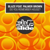 Do You Remember House? (feat. Palmer Brown) artwork