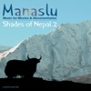 Manaslu - Flight of the Vulture
