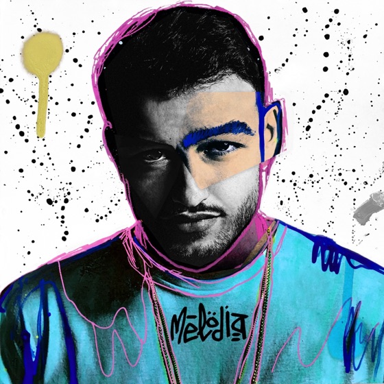 Cover artwork for Alleles