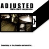 Adjusted