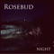 Bleachers - Rosebud lyrics