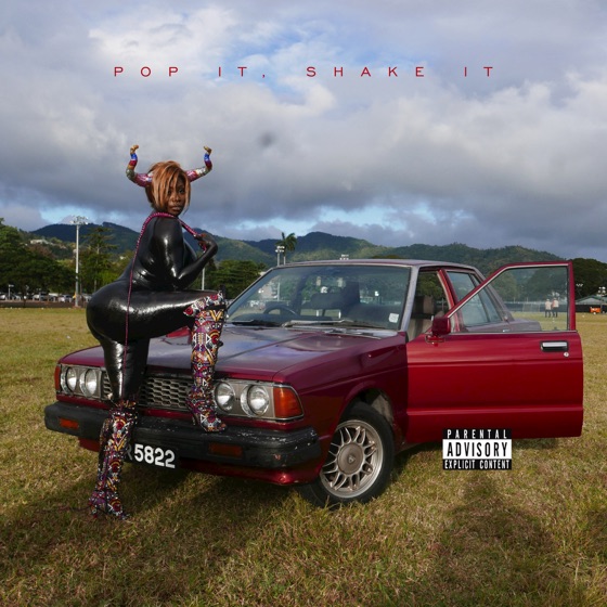 Cover artwork for Pop It, Shake It (feat. DJ Mustard)
