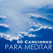 50 Canciones para Meditar - Música Relajante para Trabajar y Sanar el Alma, Canciones Orientales artwork