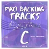 Pro Backing Tracks C, Vol. 28