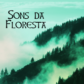 Sons da Floresta - Sons de Passaros, Musicas de Fundo para Relaxamento e Serenidade - Sons da Natureza Relax