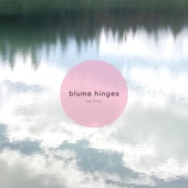 Blume Hinges - Levitate