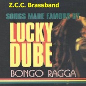 Bongo Ragga (Songs Made Famous by Lucky Dube) artwork